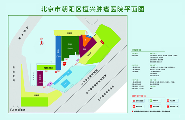 你光骚穴舔屁眼色色网站北京市朝阳区桓兴肿瘤医院平面图